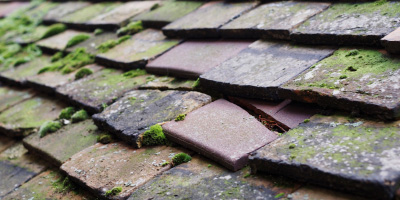 Hayle roof repair costs